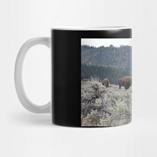 Bison in Yellowstone Mug